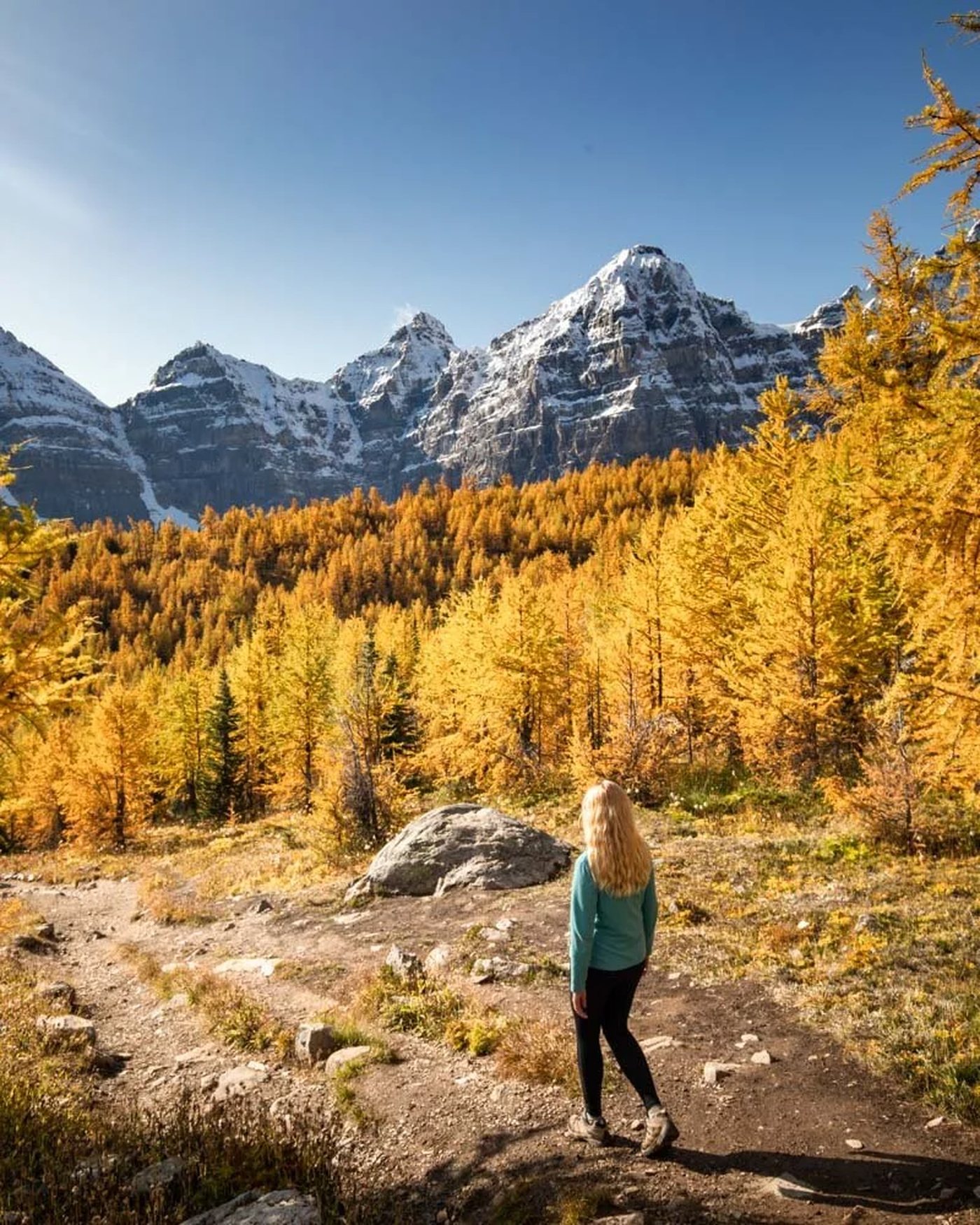 Larch valley trail